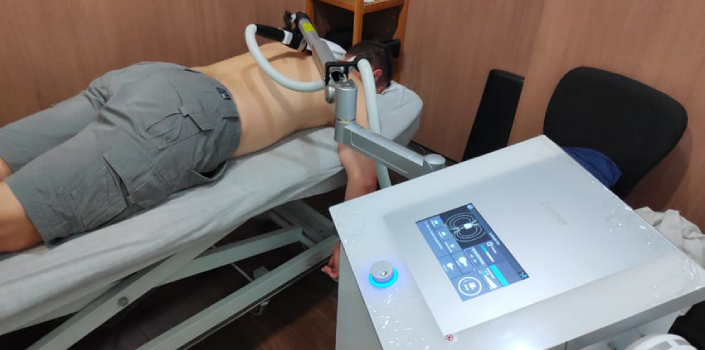 Magnetoterapia - Sistema Super Inductivo Emfield Pro de Zimmer